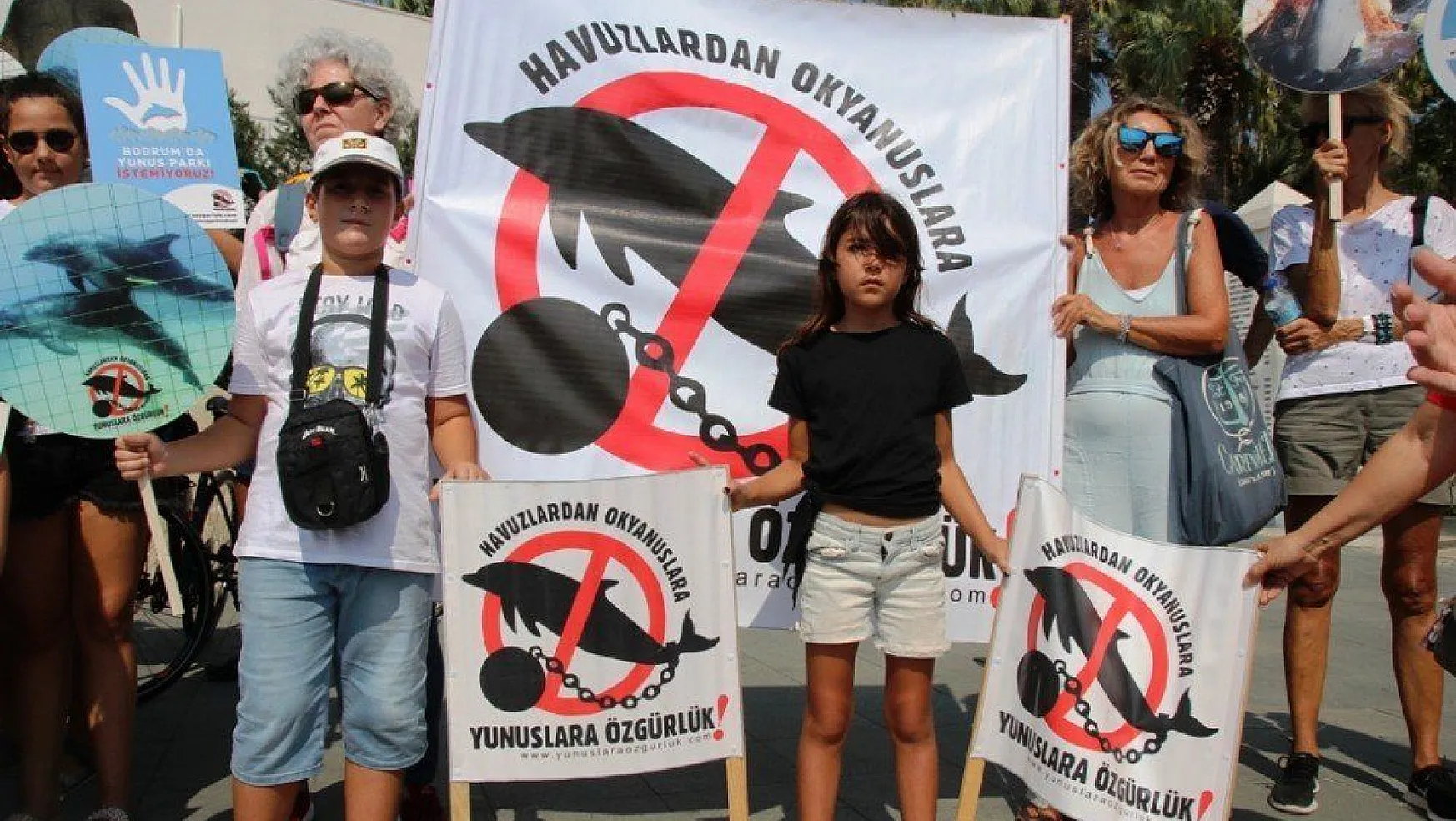 Bodrum'daki yunus gösteri merkezinin ruhsatı iptal edildi