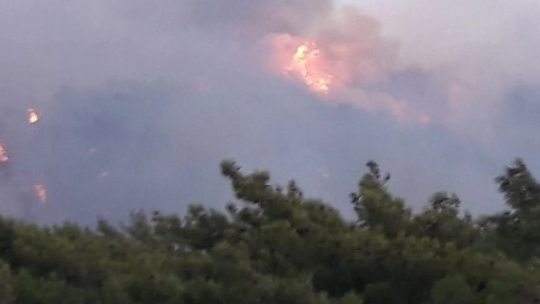 Datça'da 2 ayrı noktada aynı anda orman yangını