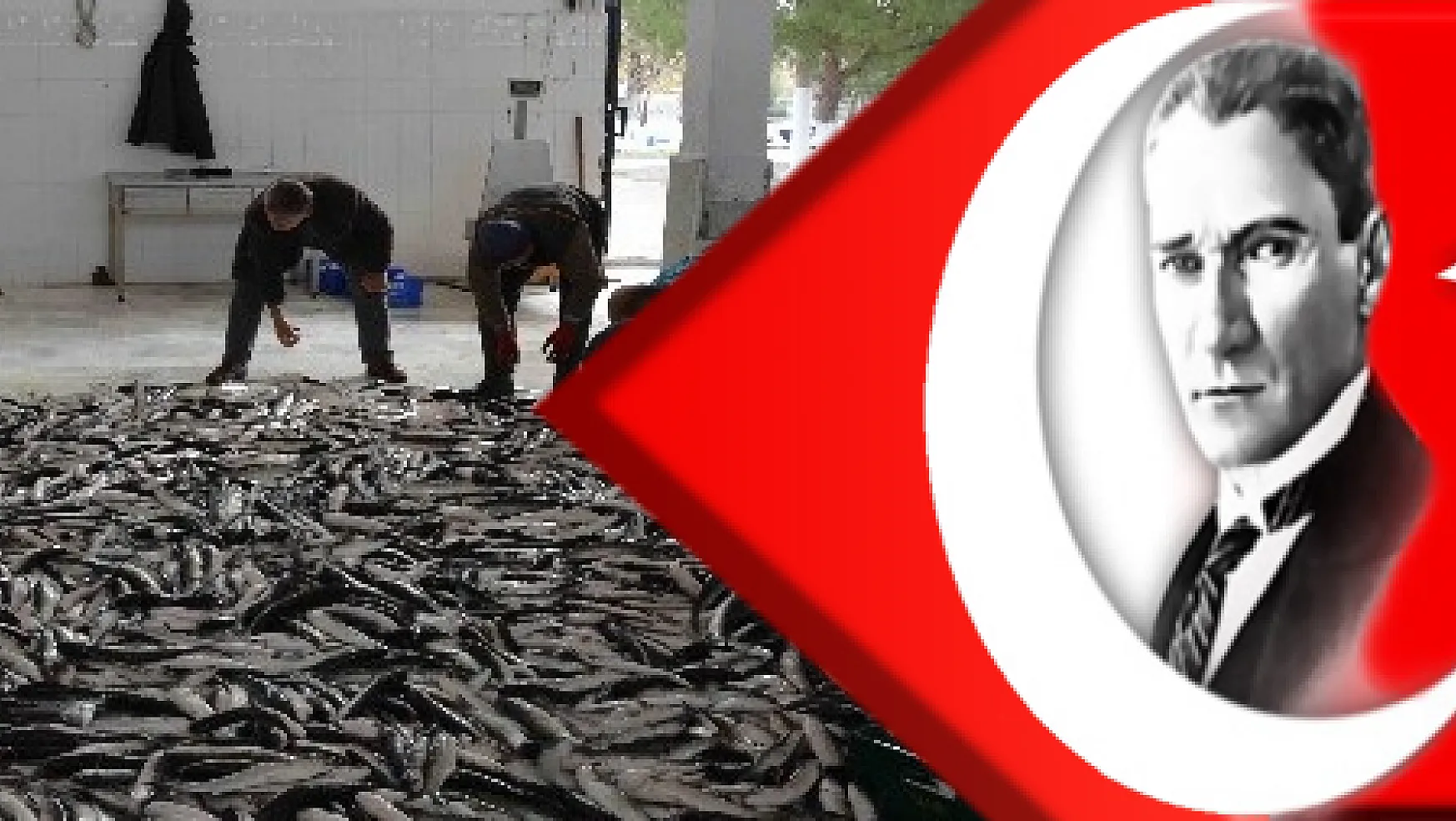 'Amacımız bölge ve ülke insanına ucuz balık yedirmek'