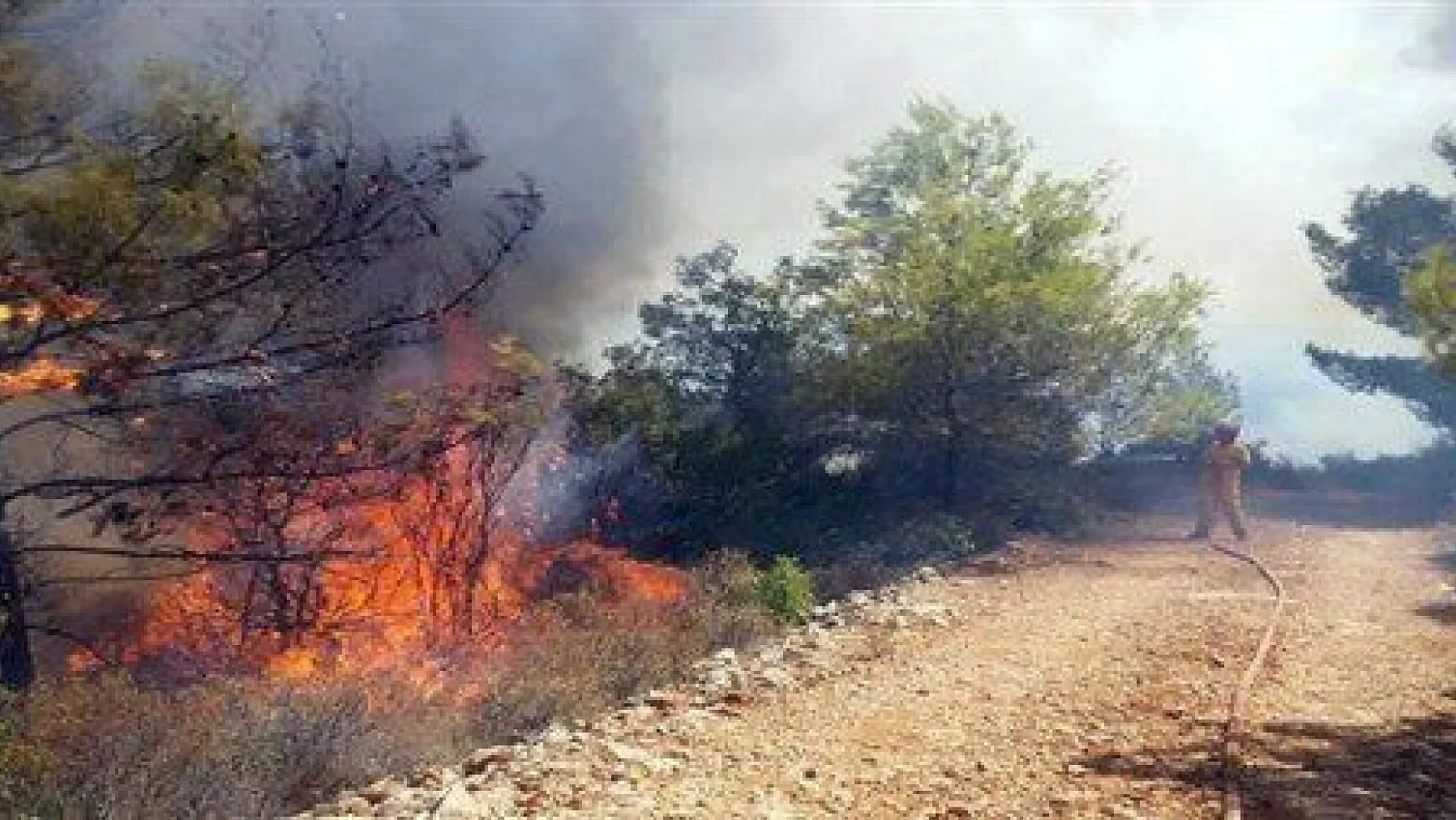 Akbük Koyu'nda orman yangını