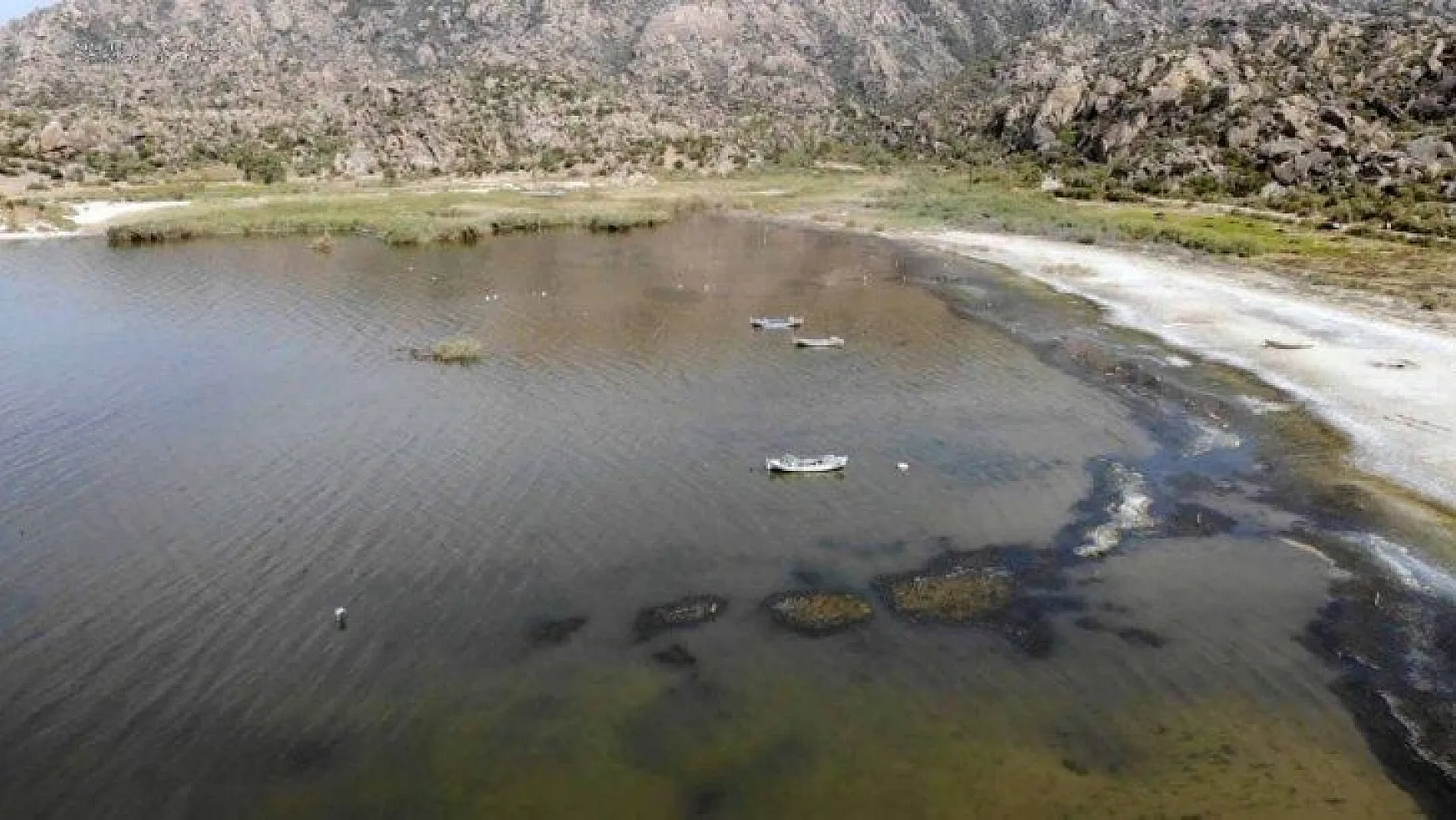 Bafa Gölü'ndeki balık ölümleri araştırılıyor