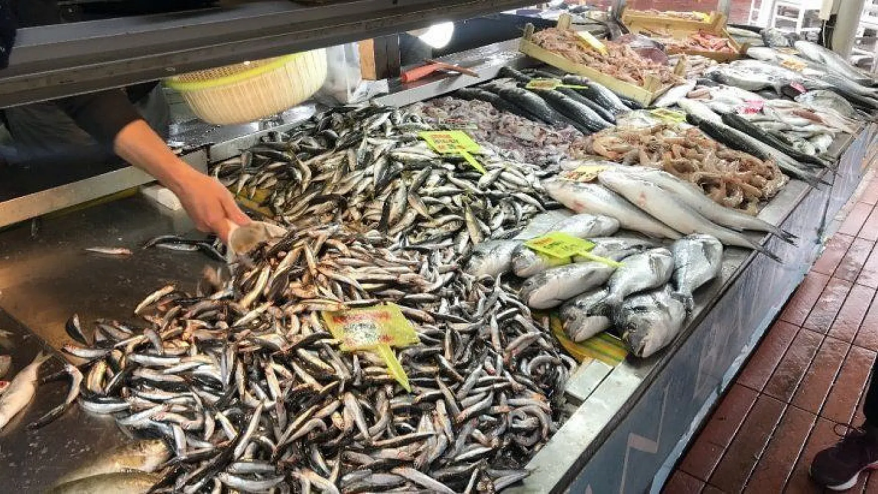 Balık fiyatları el yakıyor