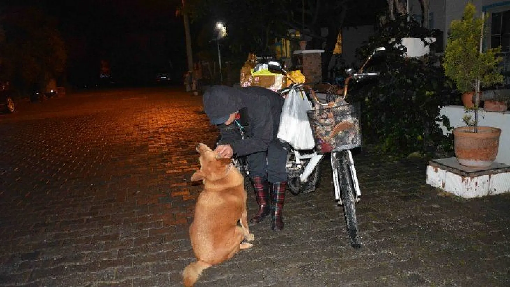 Bisikletiyle sokak sokak dolaşıp kedi ve köpekleri besliyor