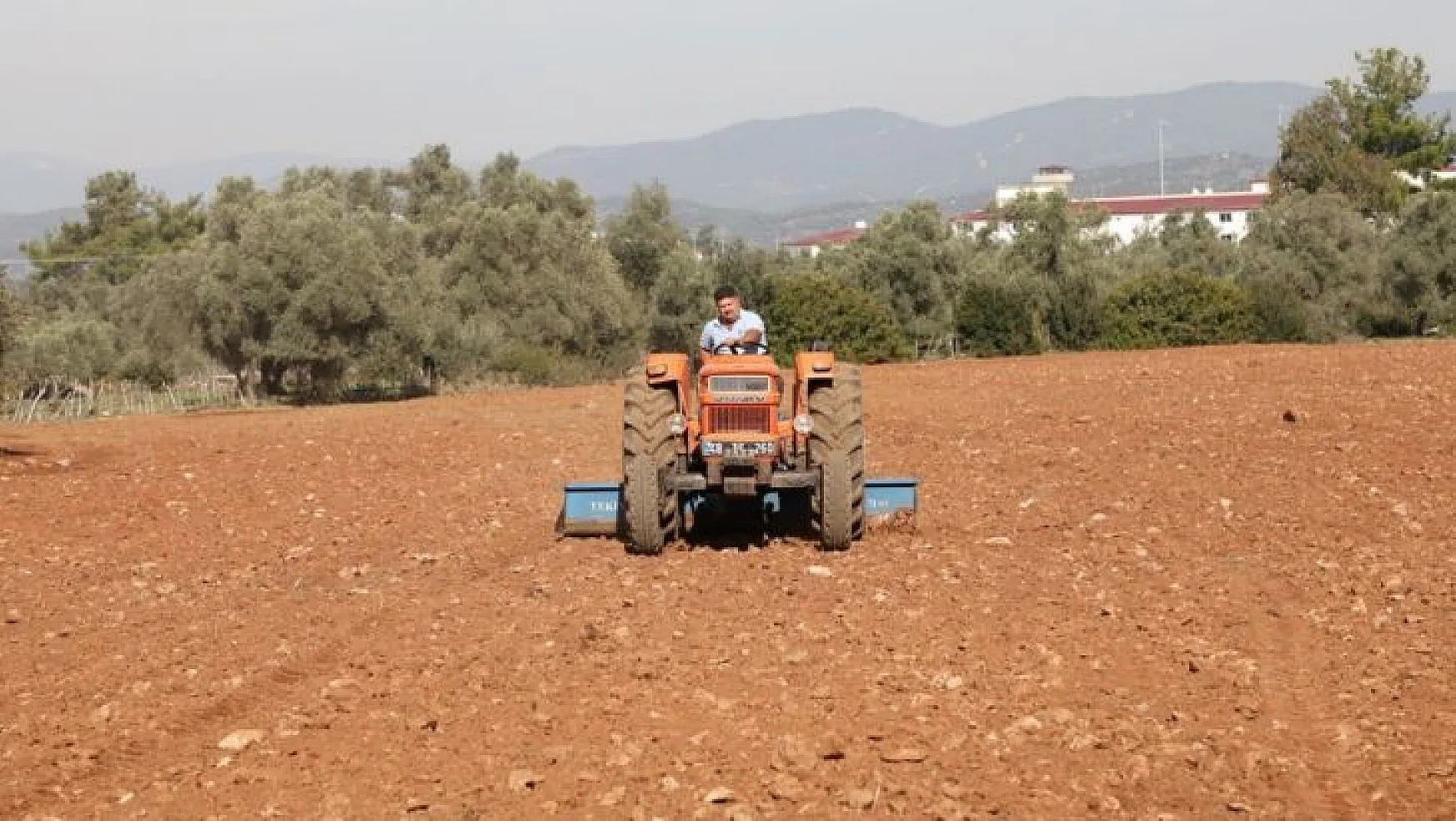 Bodrum Belediyesi Karakılçık Buğdayı ve Kanola tohumlarını toprakla buluşturdu