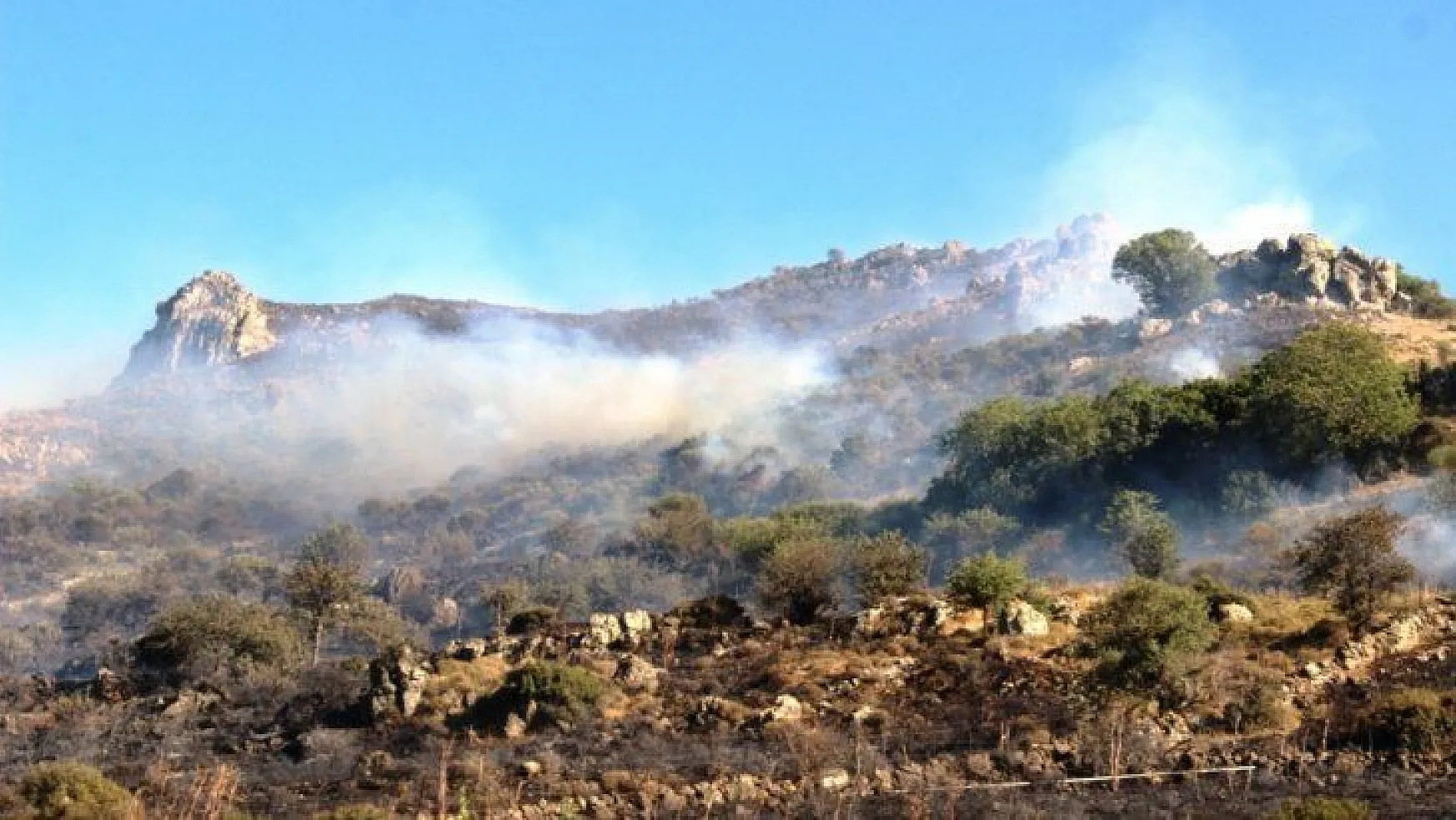 Bodrum'da 3 saat süren yangında 10 hektarlık alan kül oldu