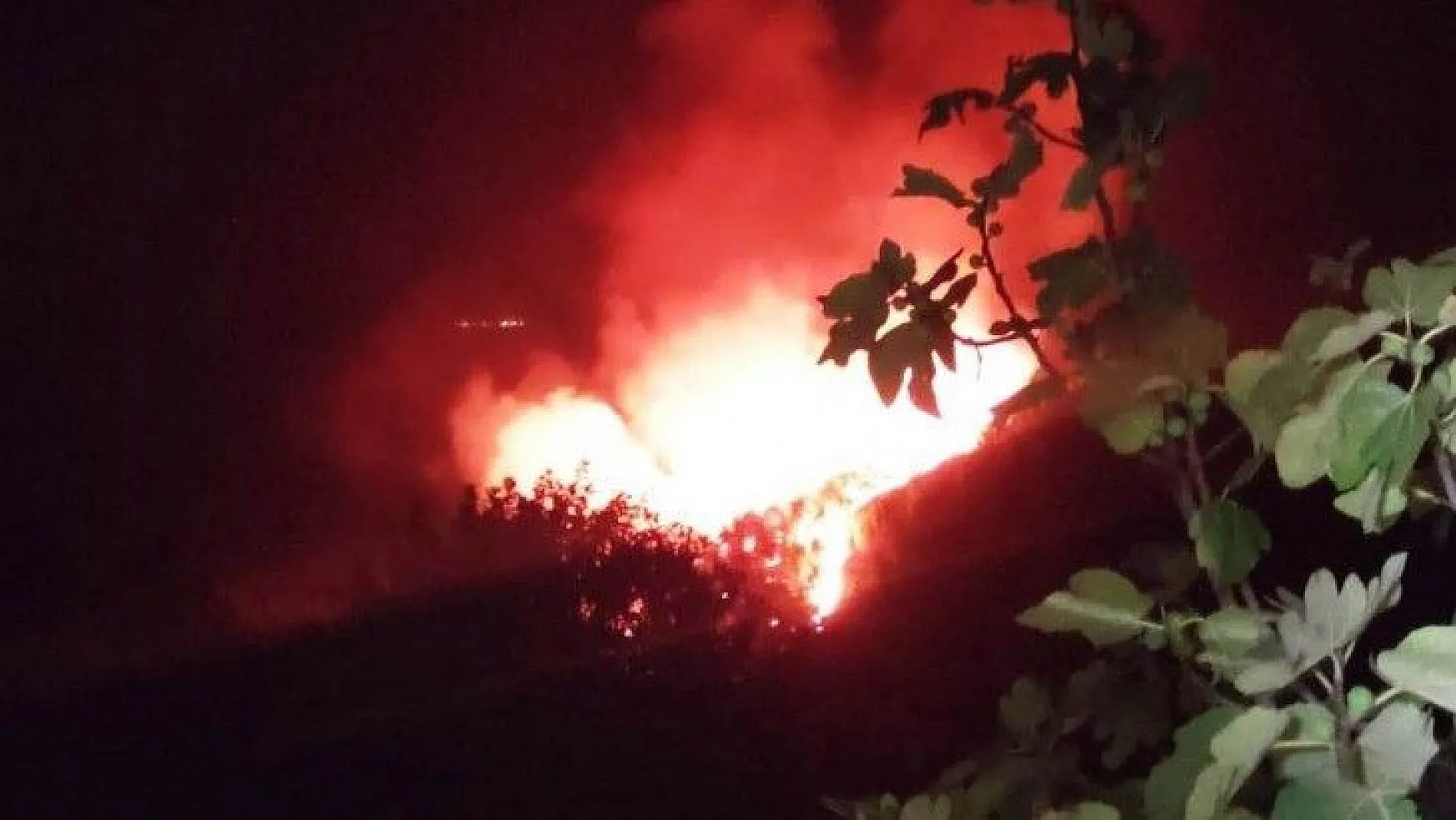 Bodrum'da gece çıkan orman yangını, sabah kontrol altına alındı
