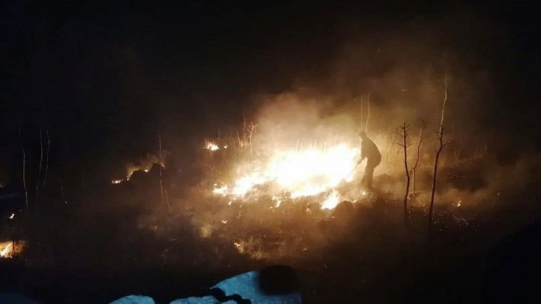 Bodrum'da otluk ve ağaçlık alanda yangın çıktı