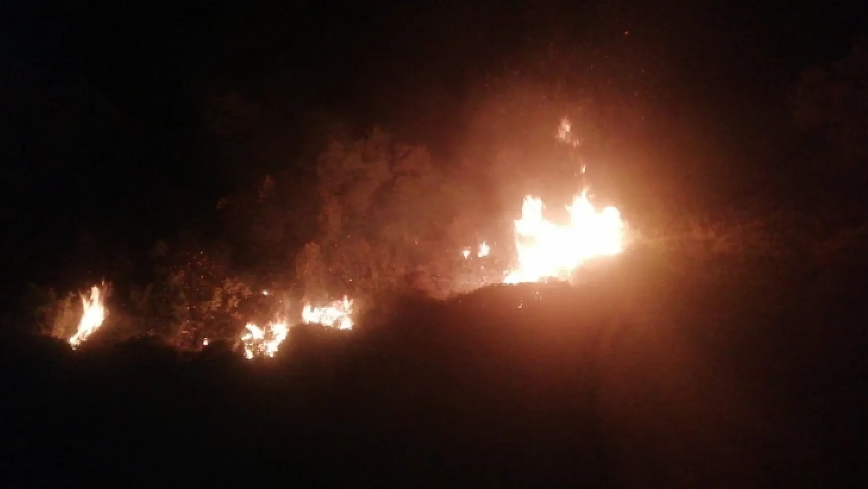 Bodrum'da peş peşe yangınlar