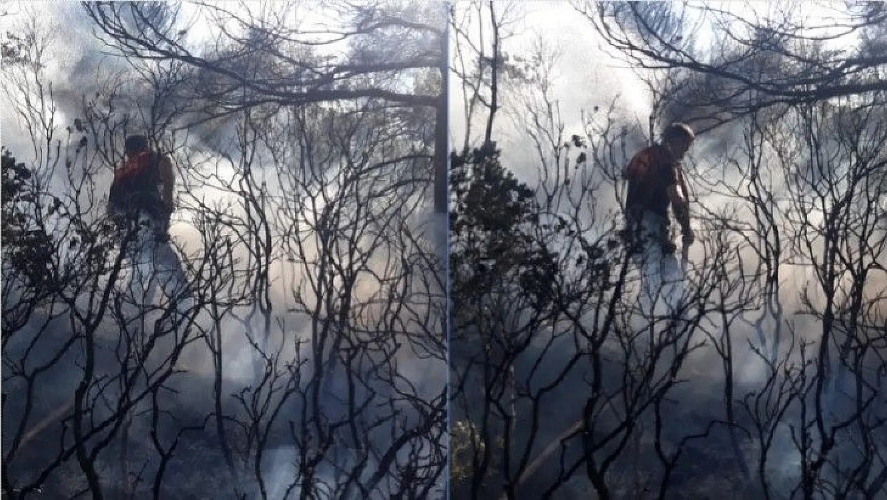 Bodrum'da yangın paniği 