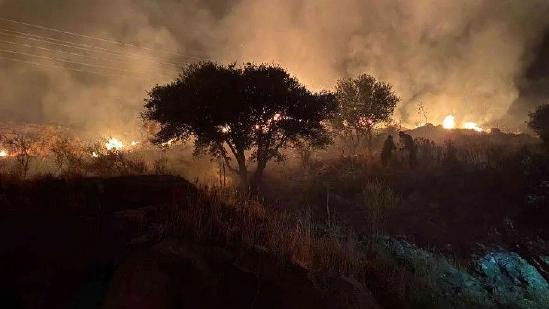 Bodrum'daki yangında 10 dönün makilik alan zarar gördü