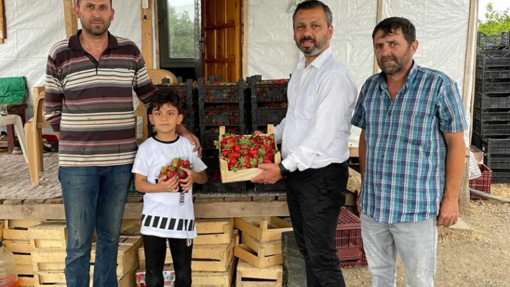 CHP'li Erbay: Köyceğiz çileğini dünya markası haline getirebiliriz