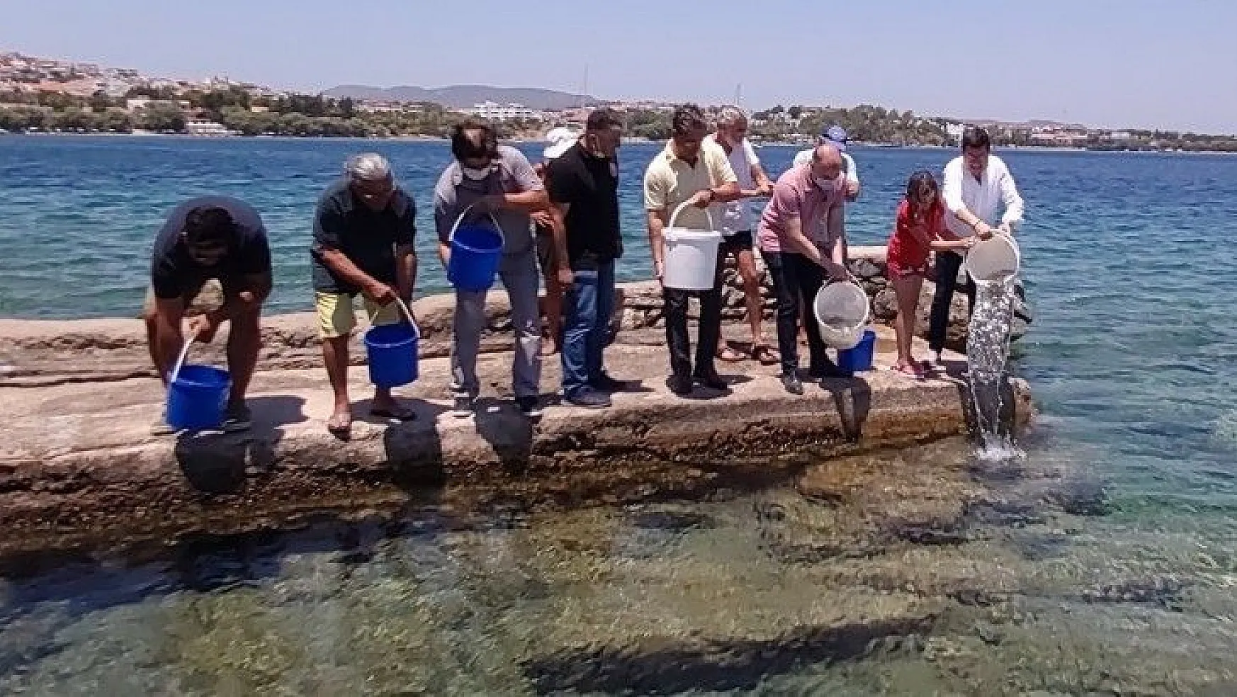 Datça'da 20 bin levrek yavrusu denizle buluştu