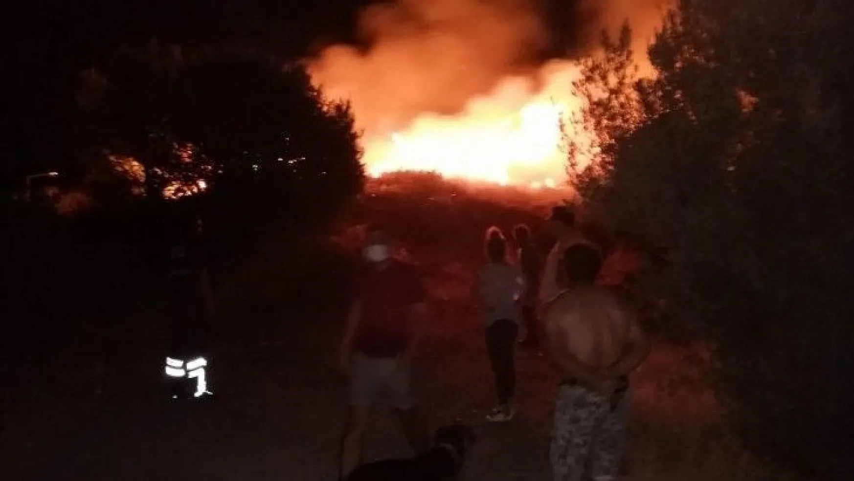 Datça'da otluk alandaki yangın söndürüldü