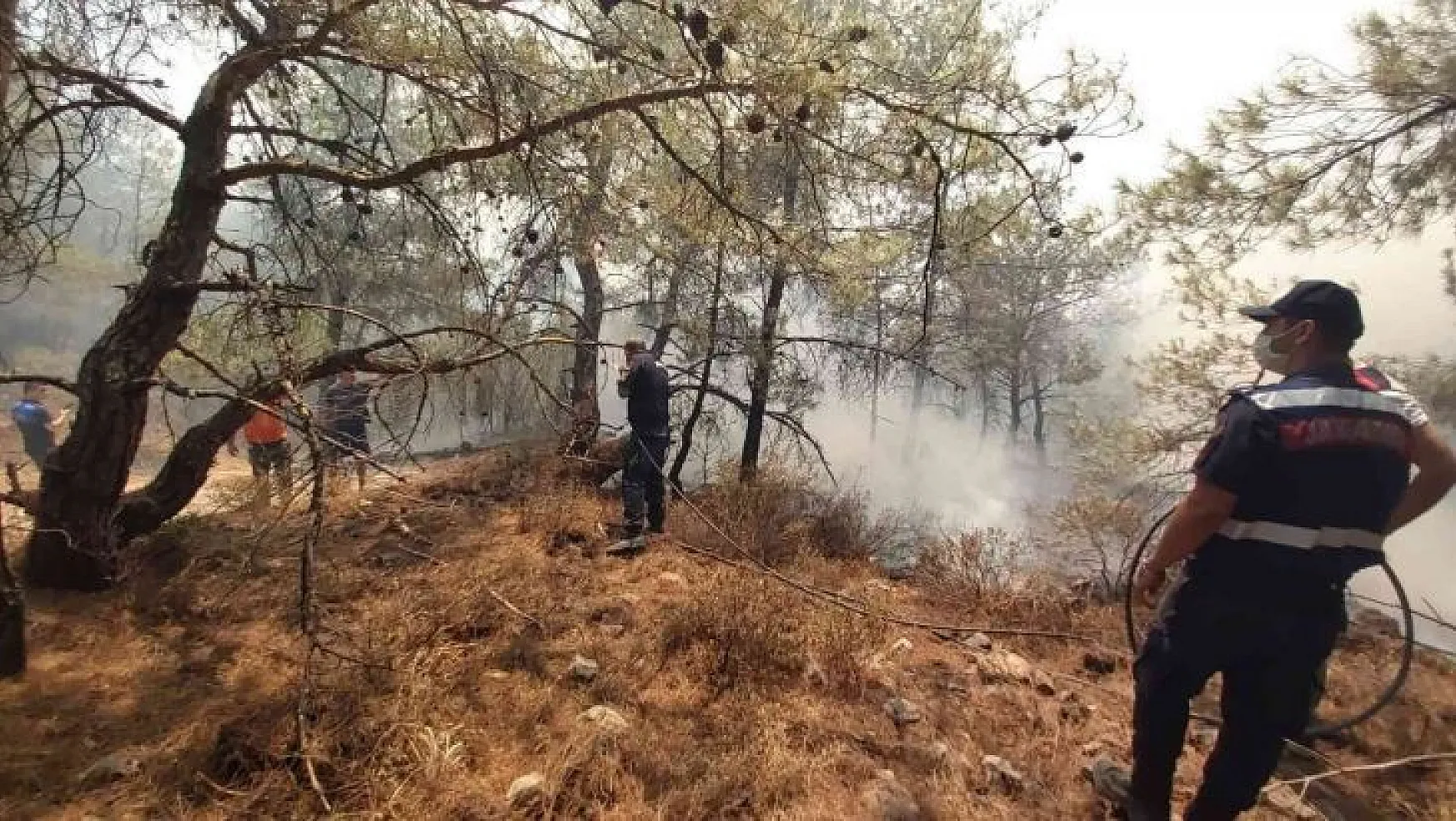 Datça'daki orman yangınına kolluk kuvvetleri de müdahale etti