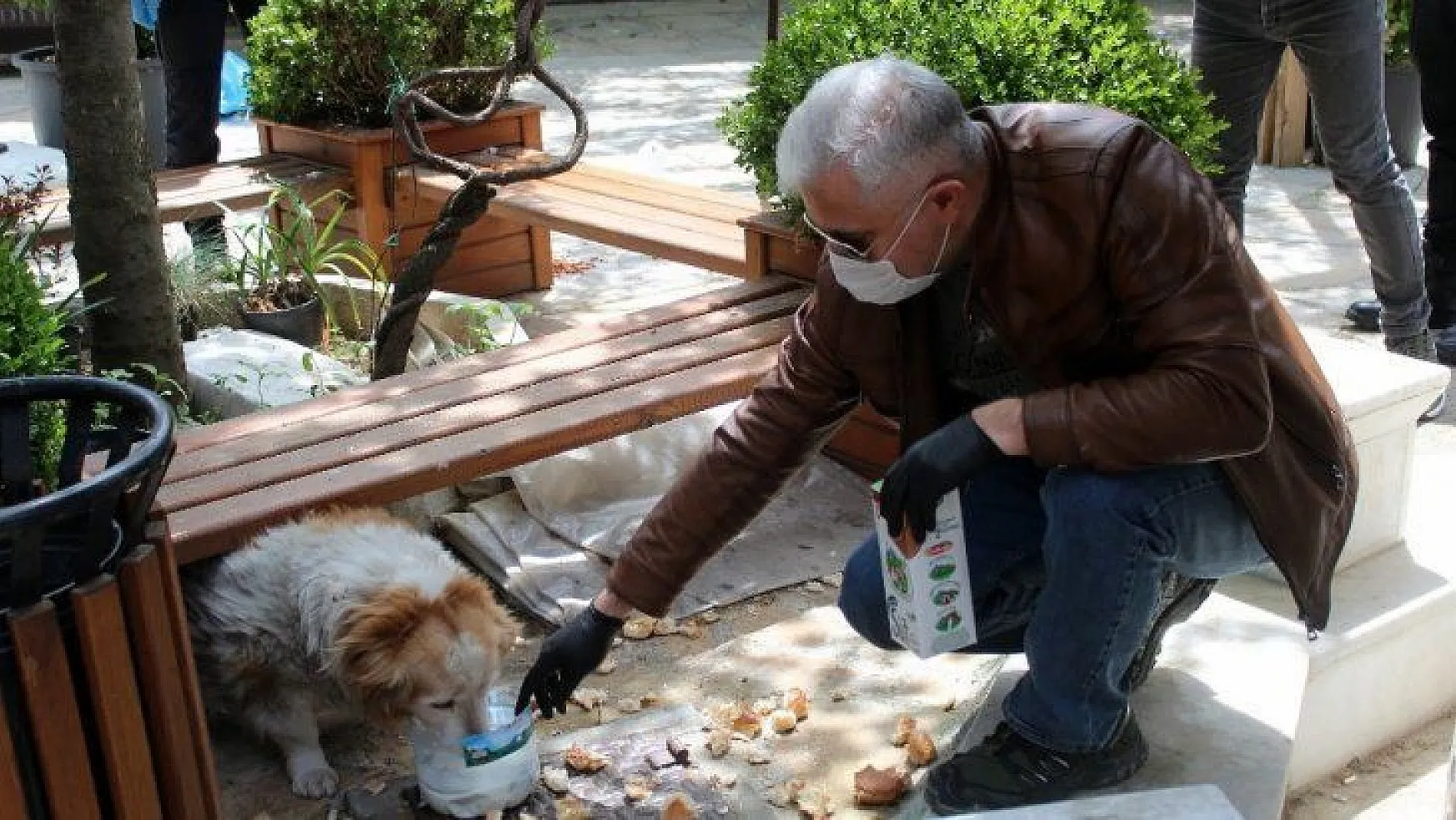 Emniyet müdürü aç kalan köpekleri elleriyle besledi