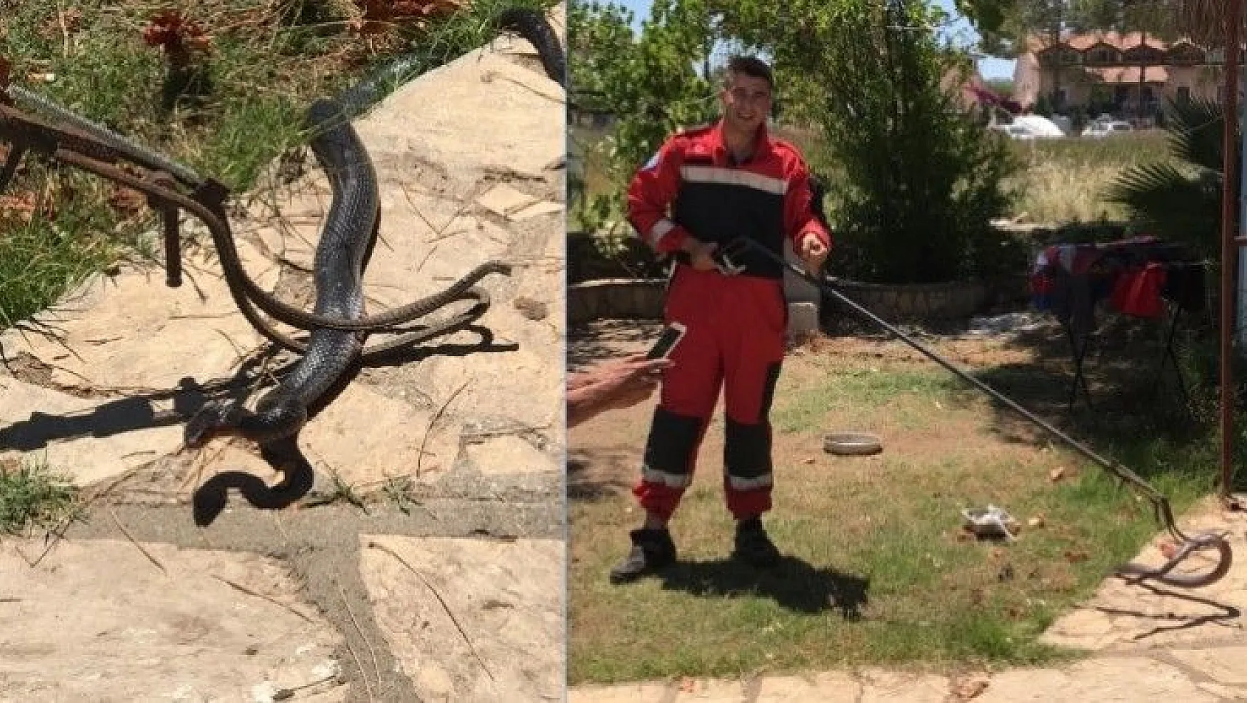 Evdeki 2 metrelik yılanı İtfaiye ekipleri çıkardı