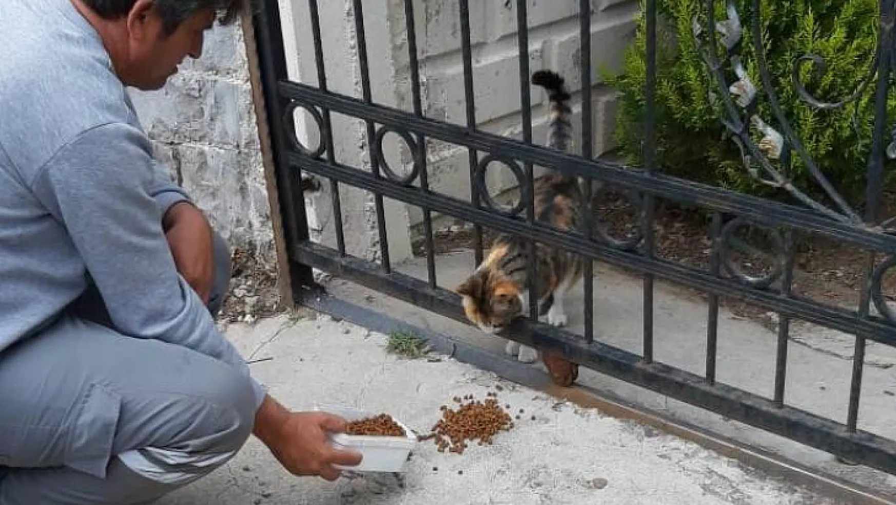 Fethiye Belediyesi Sokak Hayvanları İçin Park Ve Bahçelere Mama Bırakıyor