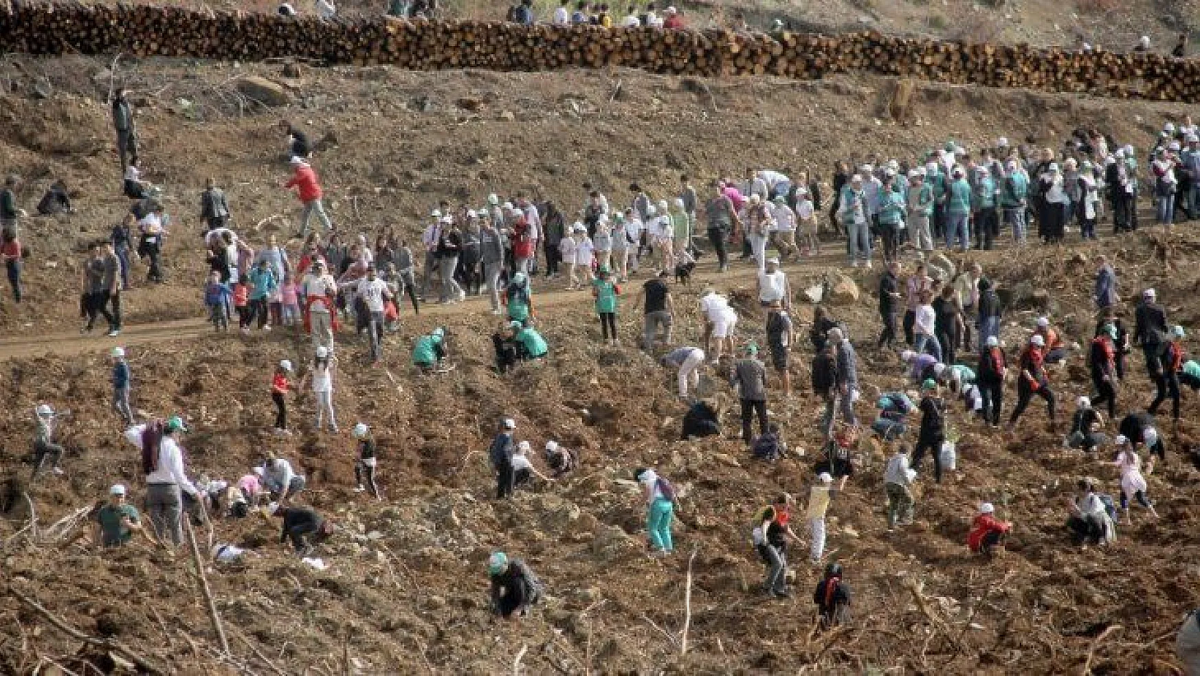 Fethiye'de 10 bin 300 fidan toprakla buluştu