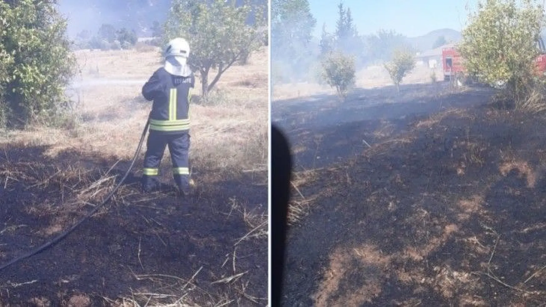 Fethiye'de otluk alanda çıkan yangında limon ağaçları zarar gördü