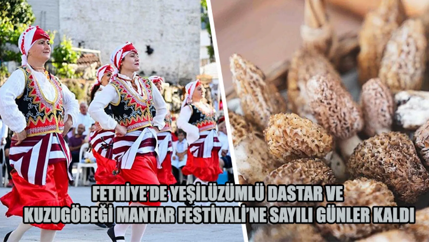 Fethiye'de Yeşilüzümlü Dastar Ve Kuzugöbeği Mantar Festivali'ne Sayılı Günler Kaldı