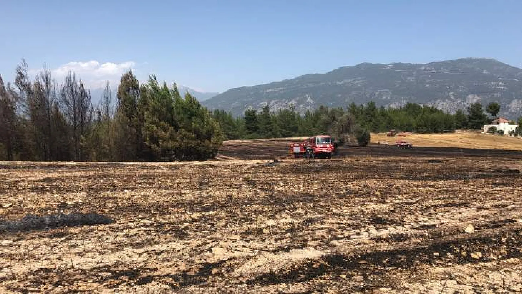 Orman Yangını : 2 Hektarlık Alan Yandı