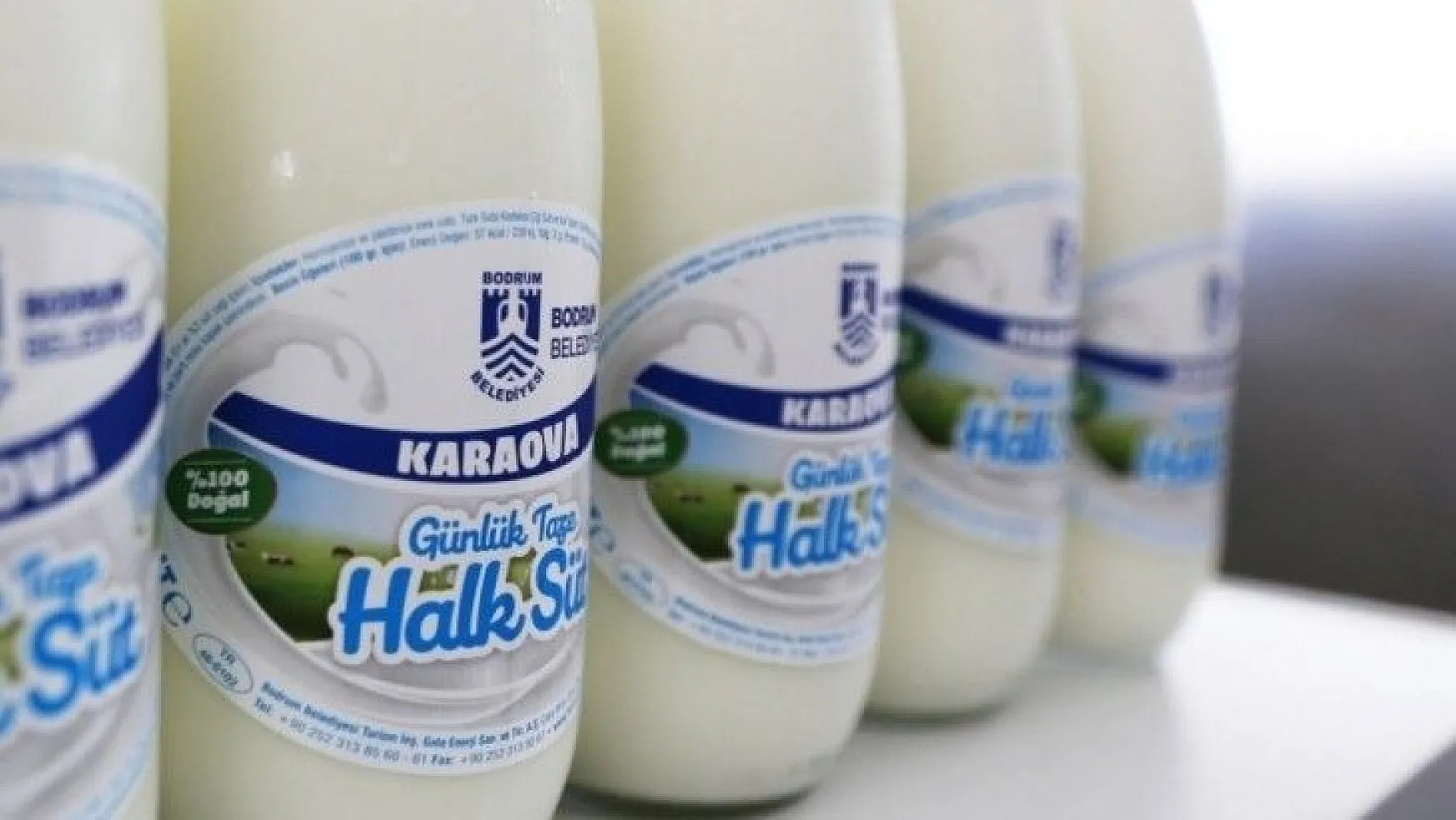 Halk süt dağıtımı yeniden başladı