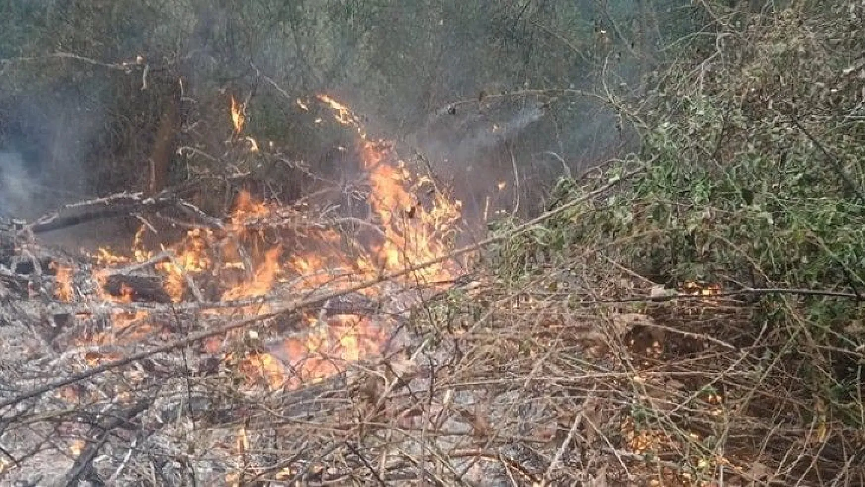 Kumluova'da akasya sahasında yangın çıktı 