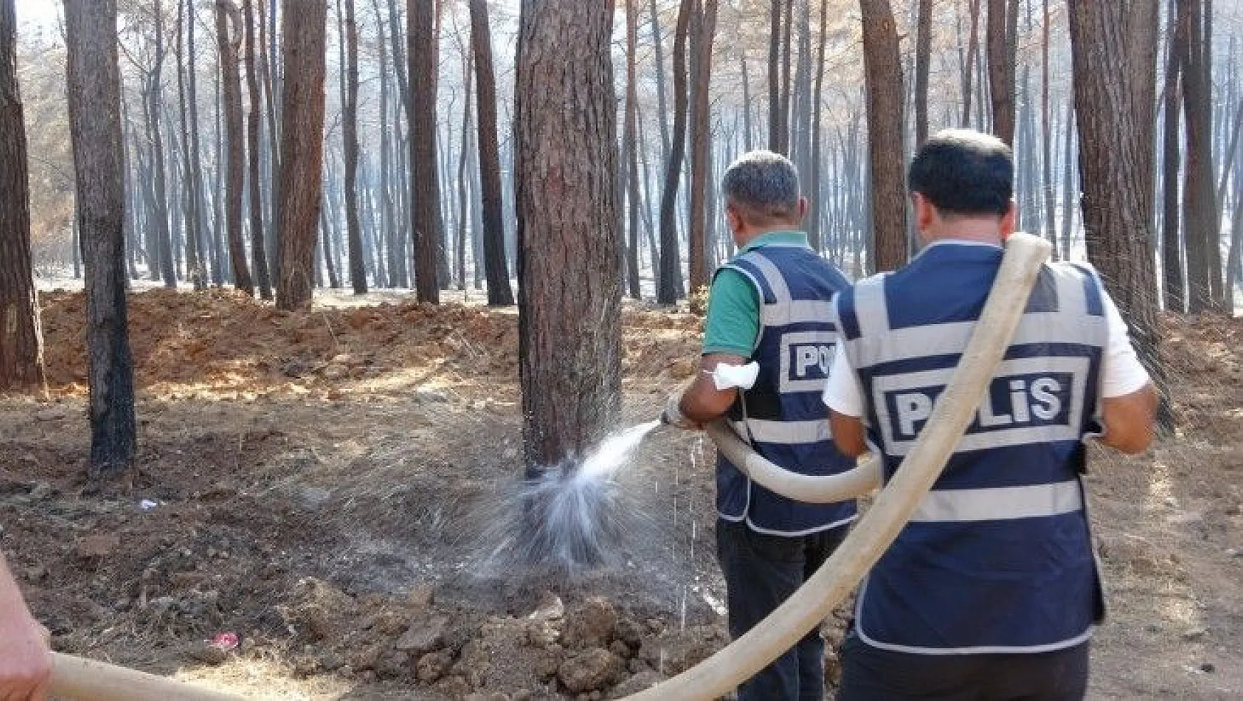 Marmaris polisi yangından zarar gören ağaçları yeniden yeşertmek için seferber oldu