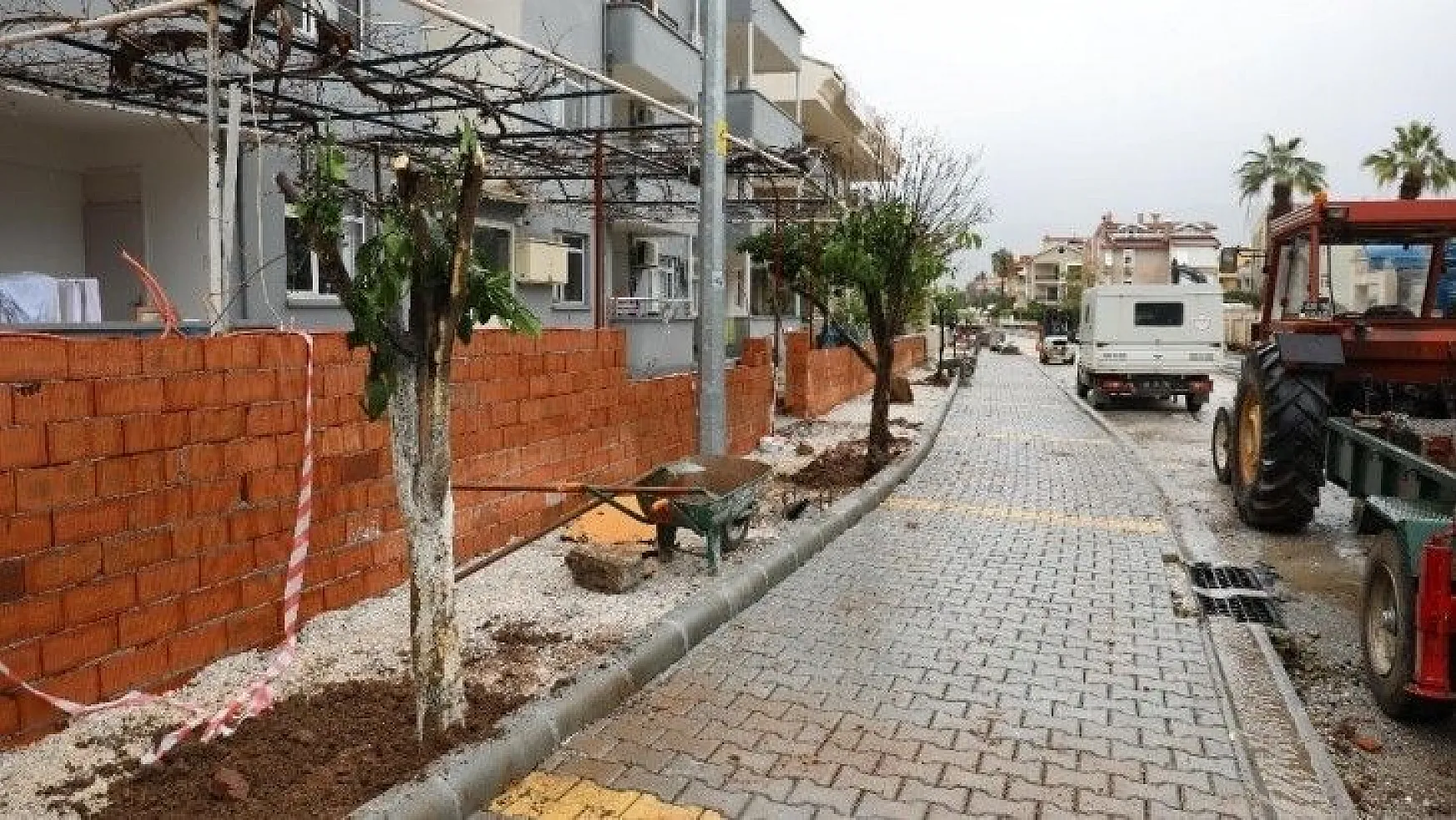 Marmaris'te cadde yenilemesi sırasında kaldırılan ağaçlar yeniden toprakla buluştu