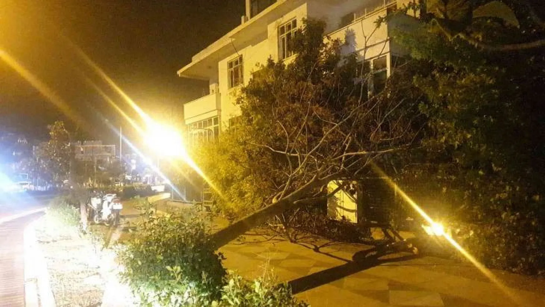 Marmaris'te etkili olan fırtına ağaçları devirdi