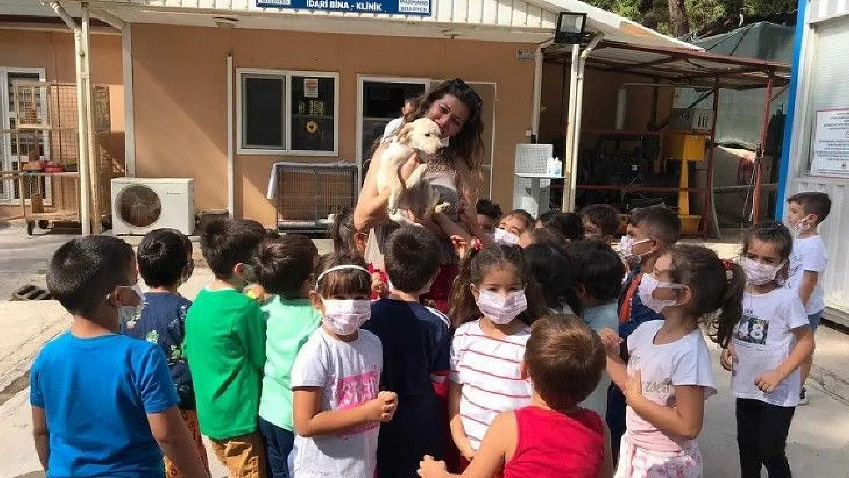Marmaris'te hayvan barınağı öğrencilerin akınına uğradı