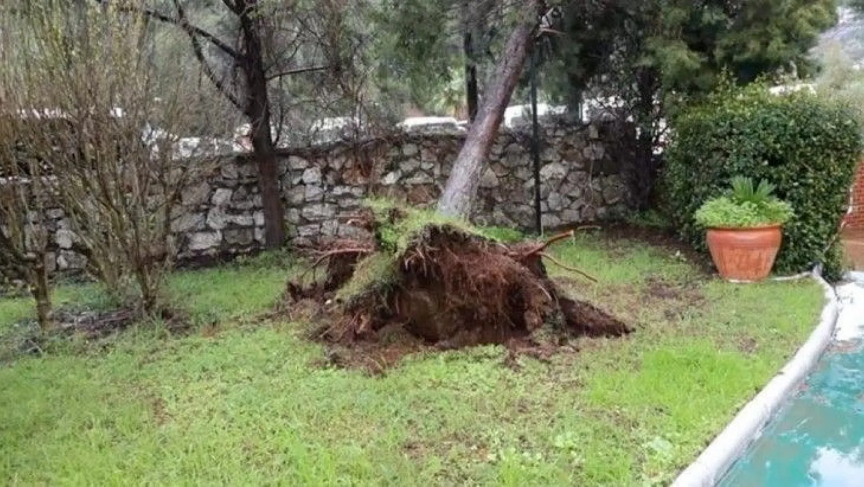 Marmaris'te yağmur ve fırtına ağaçları devirdi