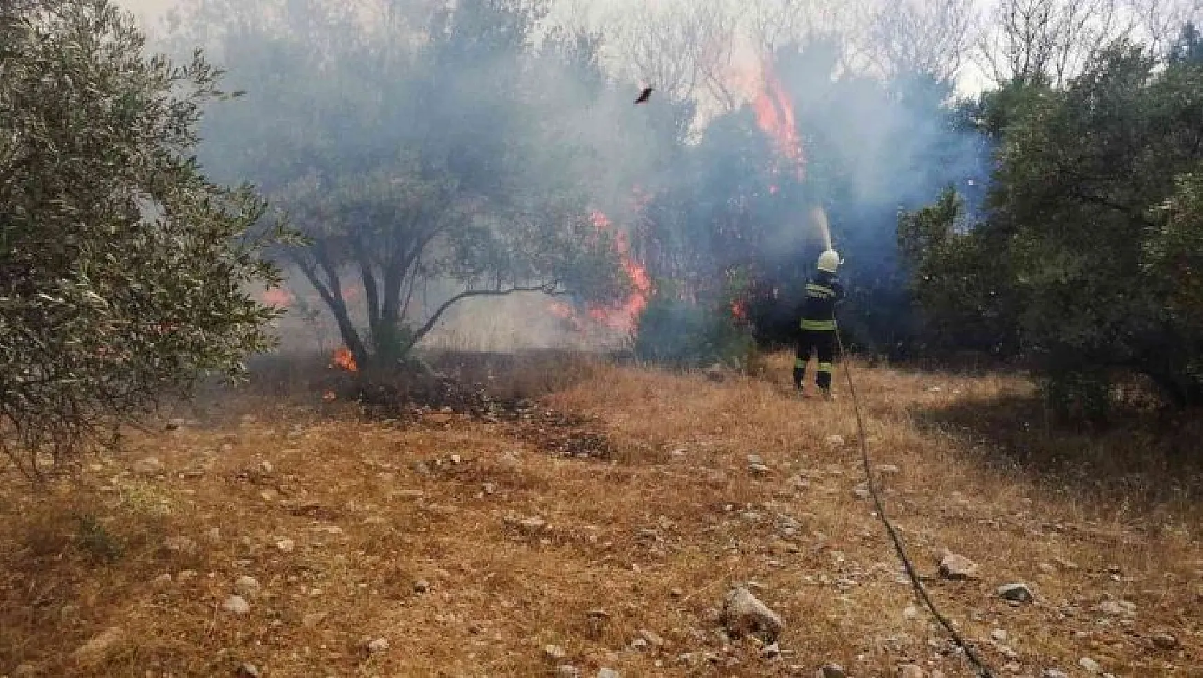Menteşe'de arazi yangını