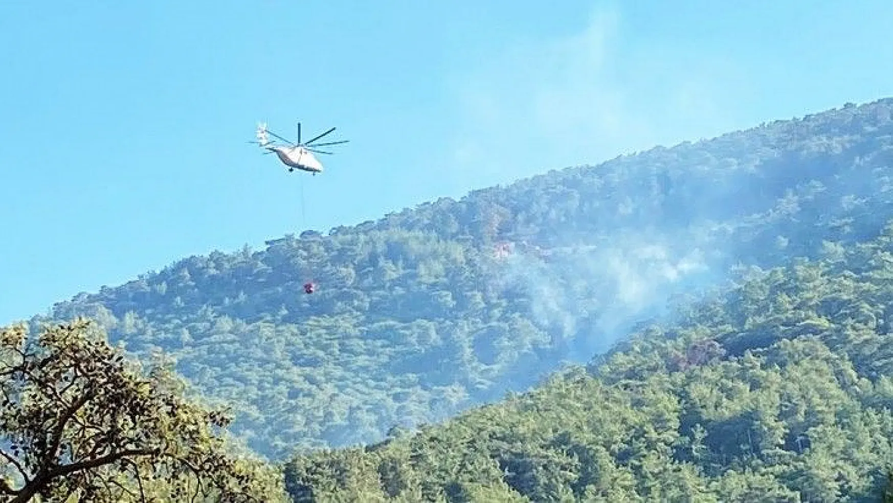 Milas orman yangını kontrol altında