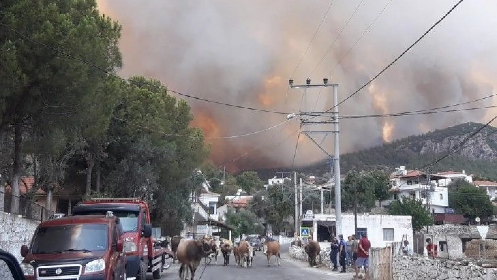 Milas'ta alevler yerleşim bölgesine ulaştı, Gökbel köyü boşaltıldı