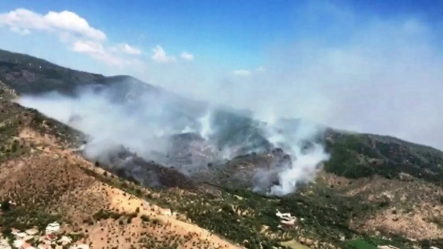 Milas'taki orman yangınına müdahale sürüyor