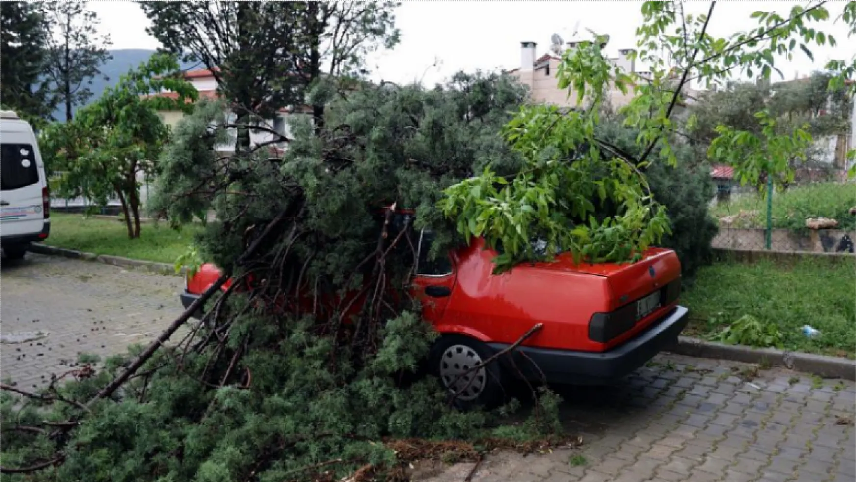 Muğla'da fırtınada devrilen ağaç, aracın üstüne düştü