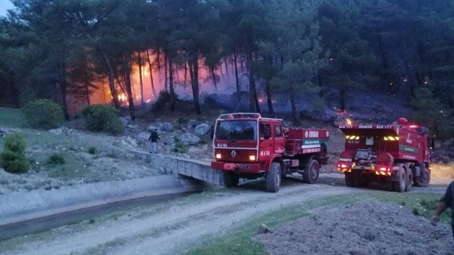 Muğla'da orman yangınları erken başladı