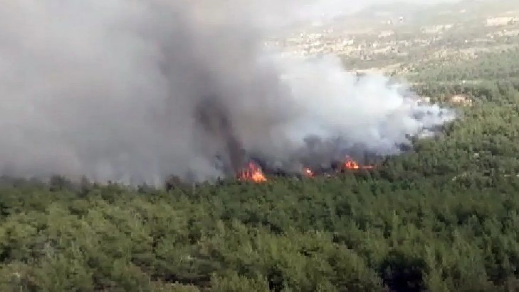 Muğla'daki orman yangını havadan ve karadan müdahaleye rağmen büyüyor