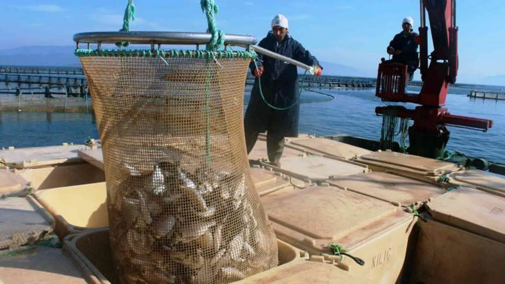 Muğla'dan 54 ülkeye 453 milyon dolarlık balık ihracatı