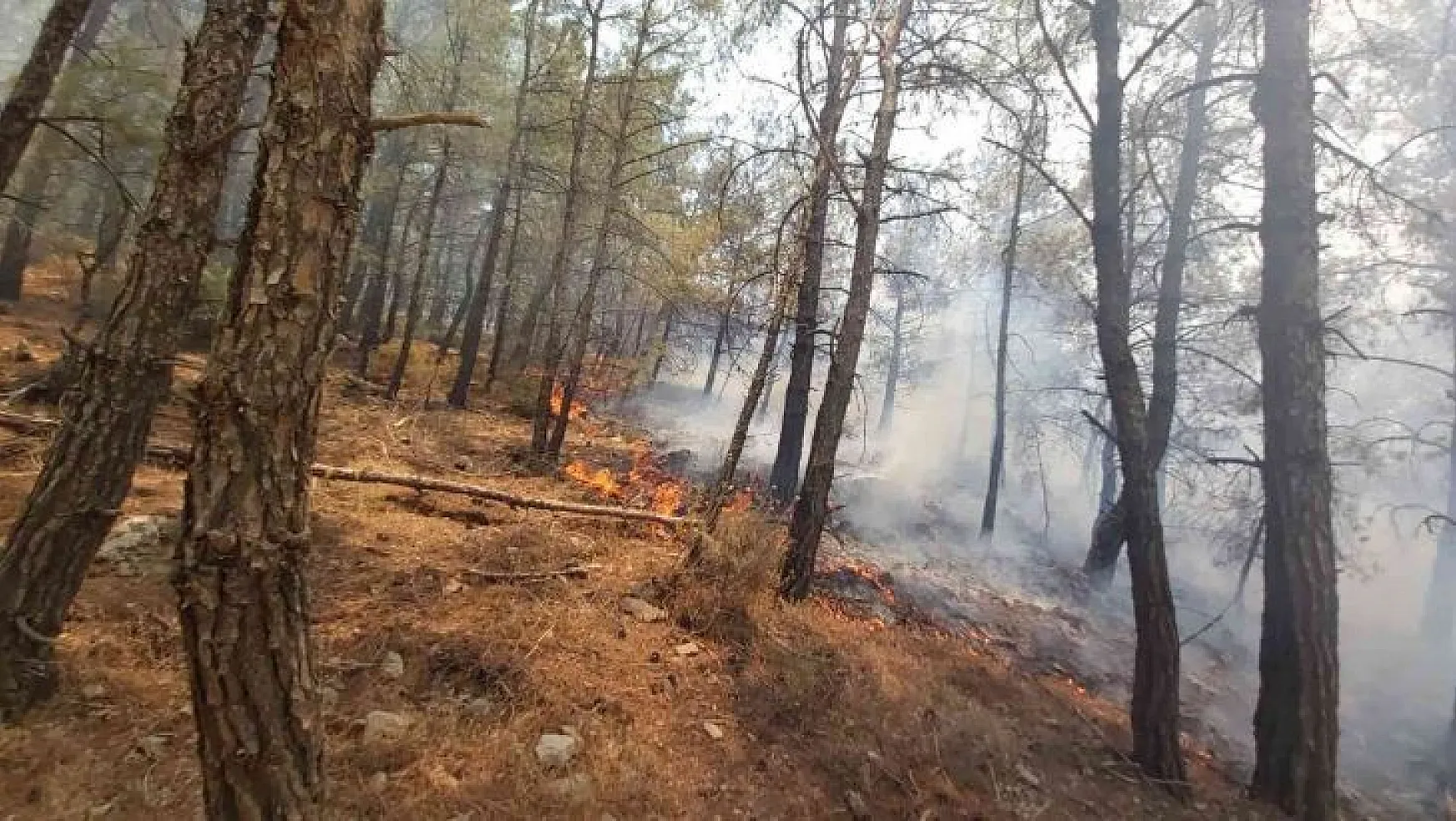 Muğla Valiliğinden Datça'daki orman yangını ile ilgili açıklama