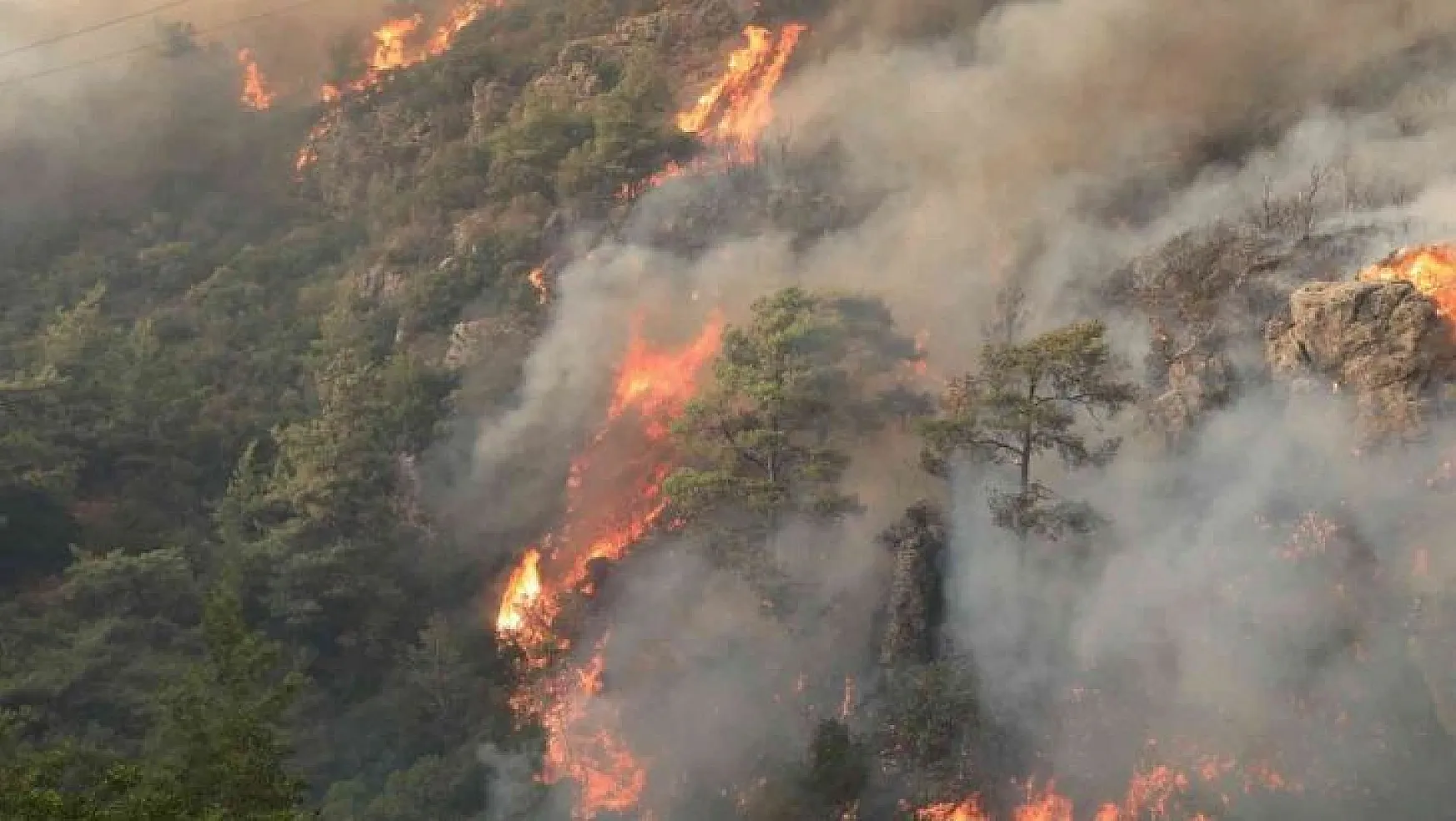 Orman yangınlarına karşı mücadele seferberliği