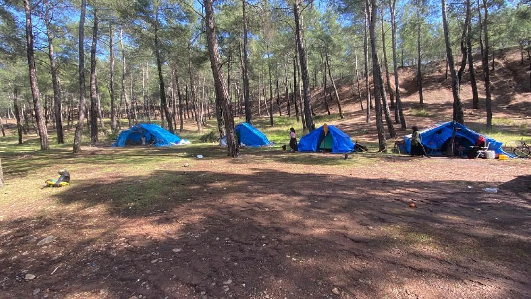 Ormanlık alanda kurulan çadırlar gözden kaçmadı