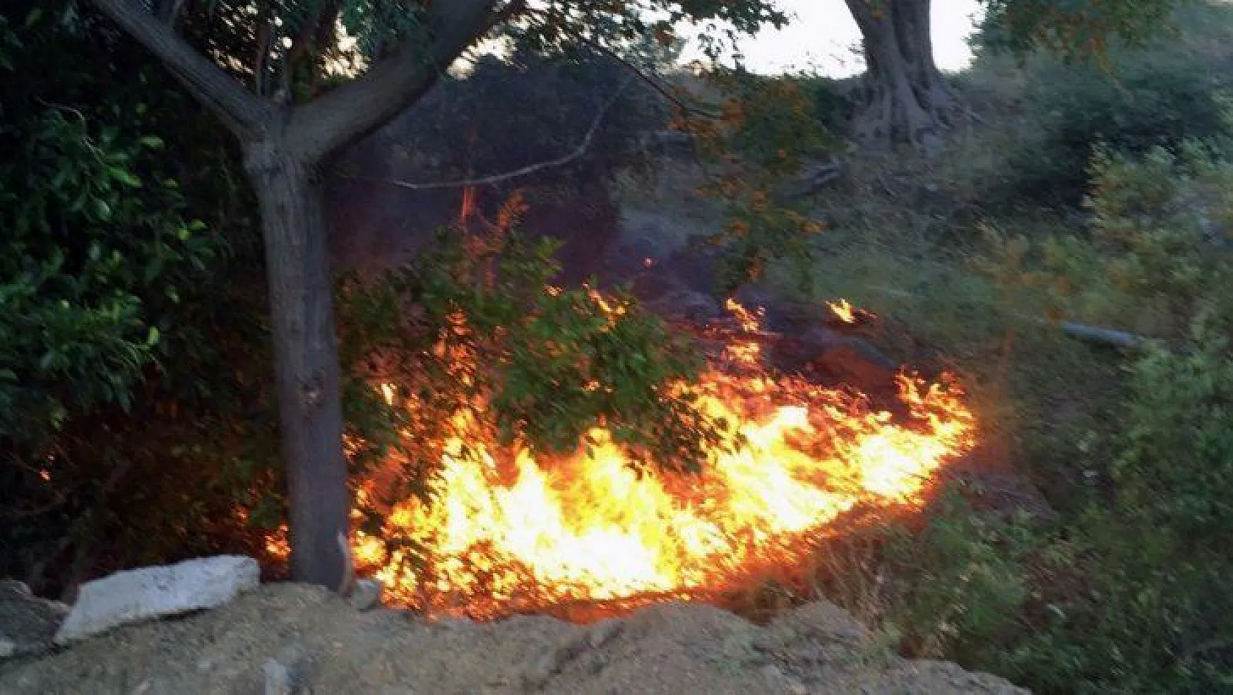 Ortaca'da orman yangını