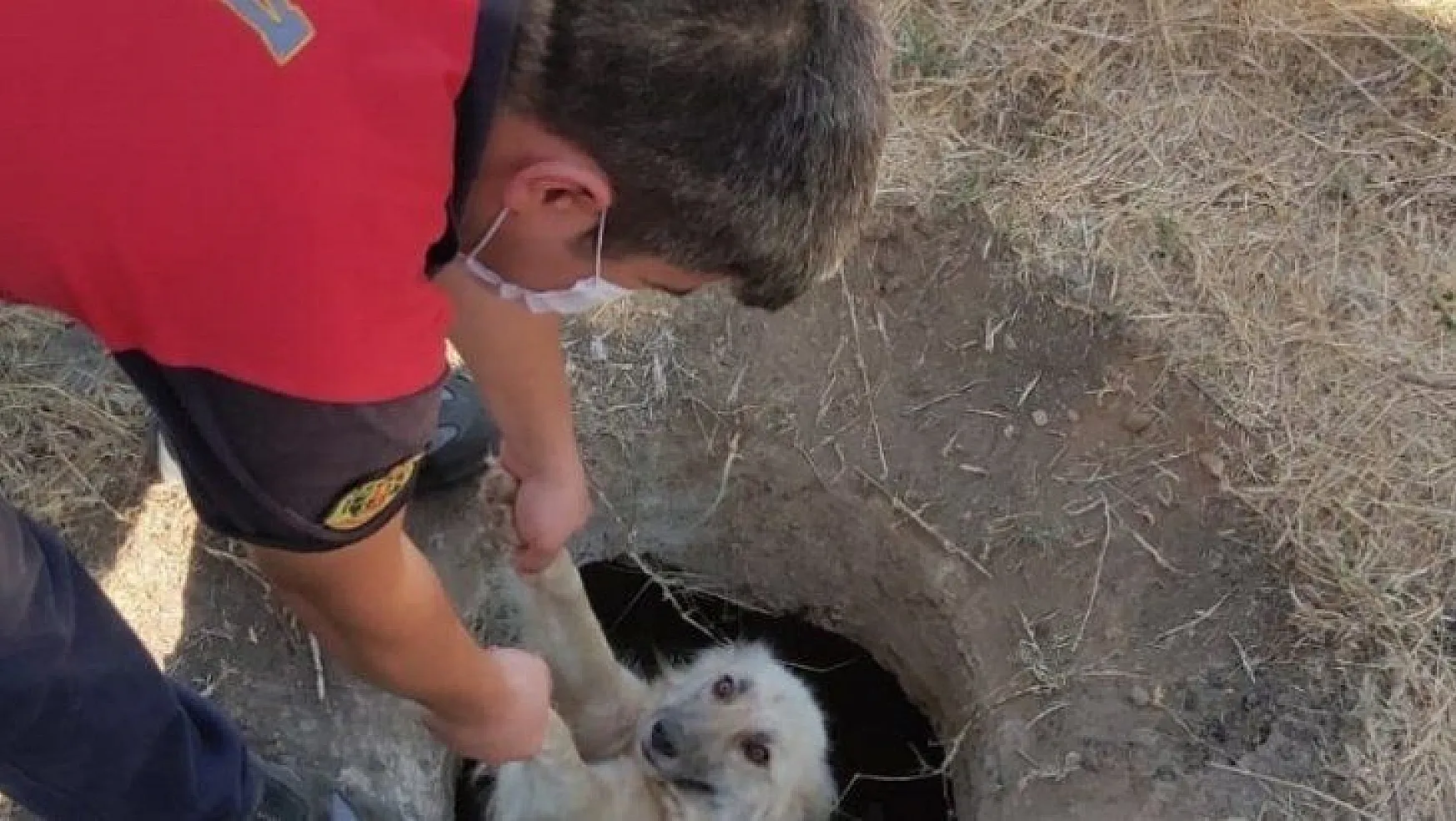 Sevimli köpek, itfaiyenin yardımı ile kurtuldu