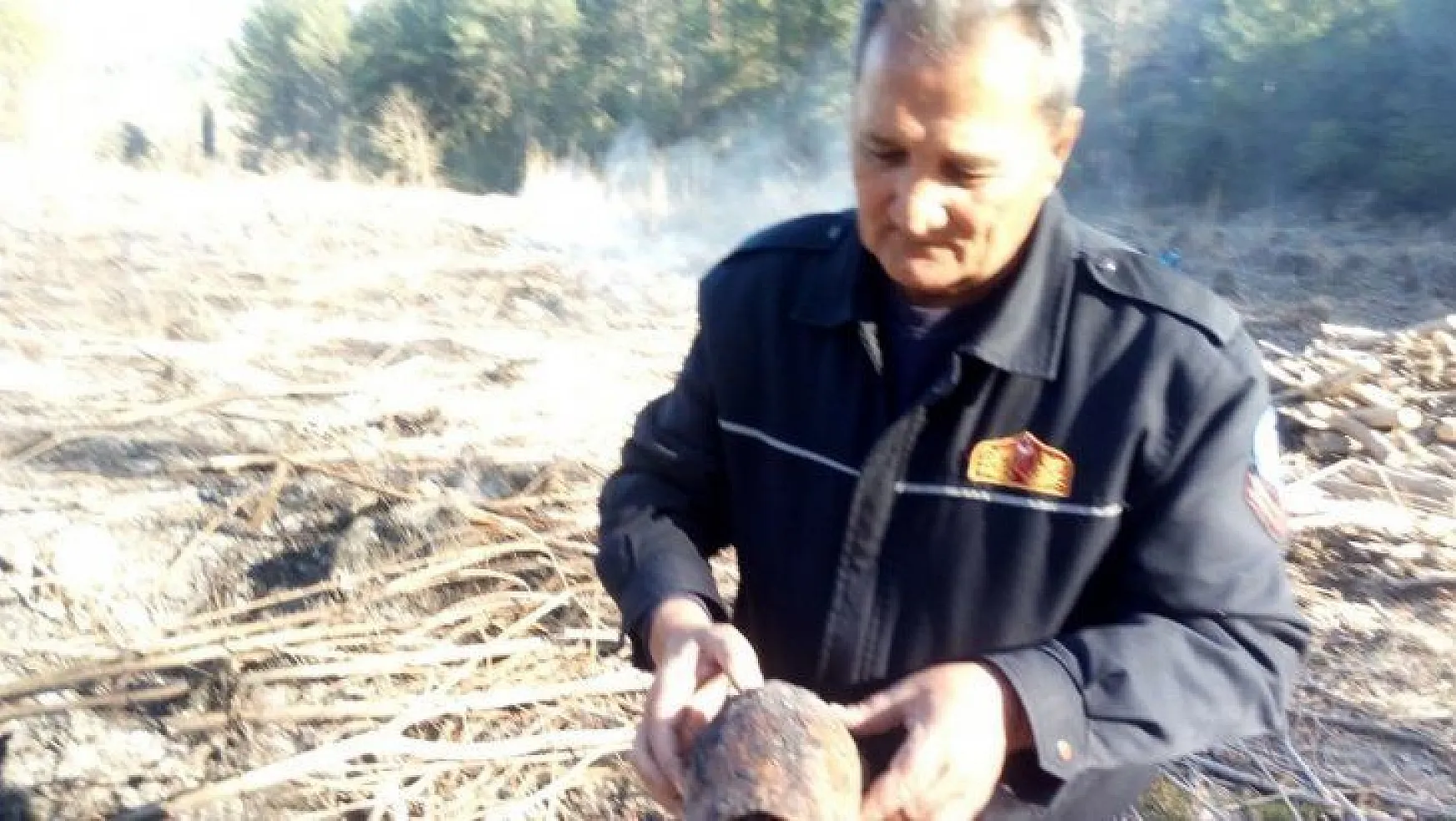 Seydikemer'de yanmak üzere olan kaplumbağayı itfaiye ekipleri kurtardı