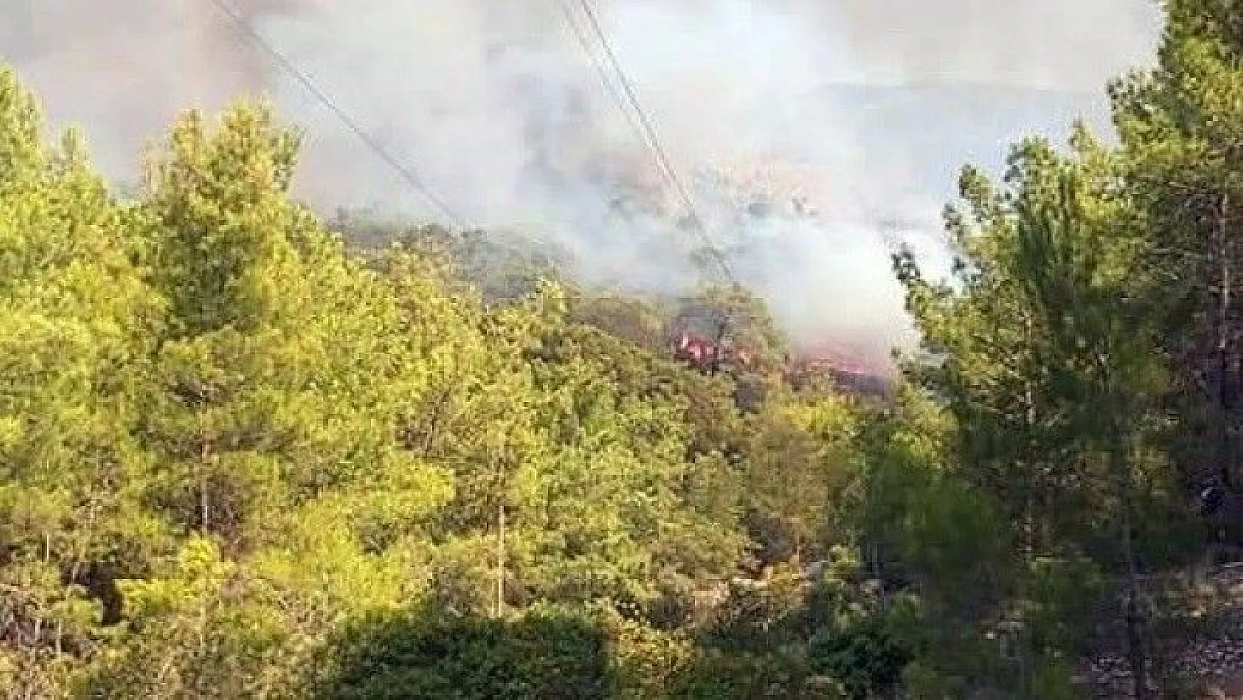 Seydikemer Karaköy'de yangın başladı!