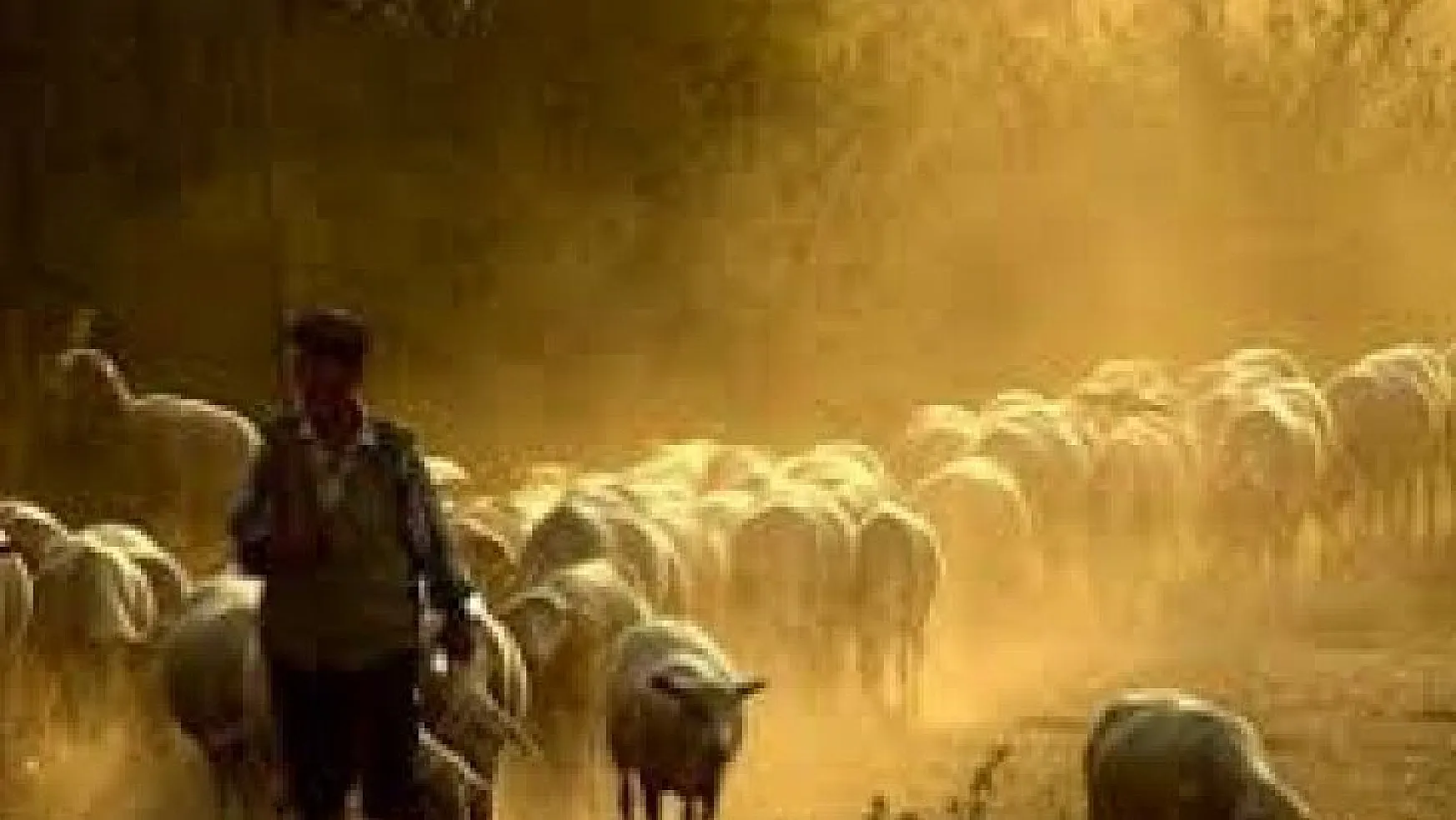 Seydikemer'de Çoban İstihdamı Desteğine Büyük İlgi