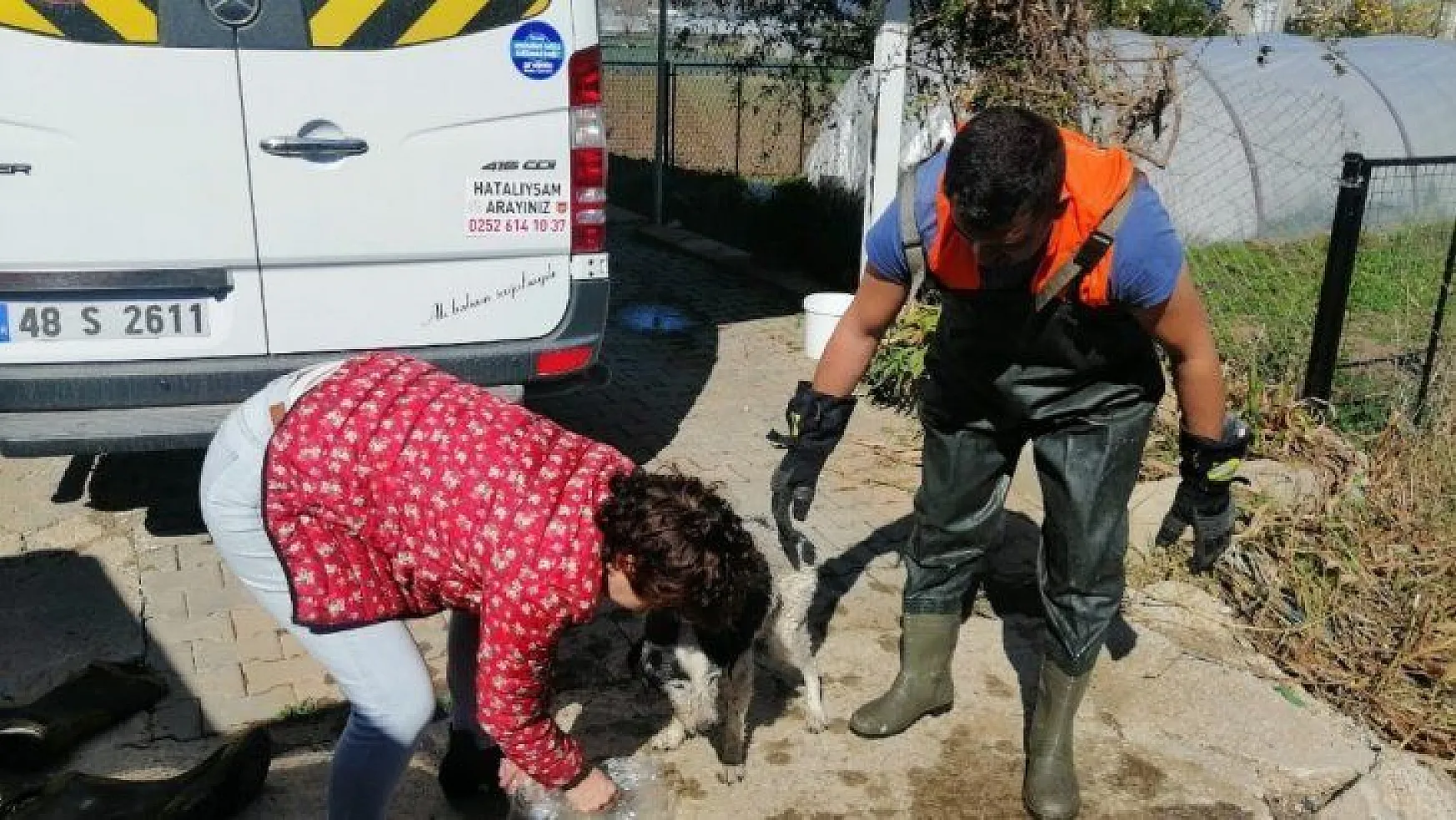 Su giderinde mahsur kalan köpeği itfaiye kurtardı