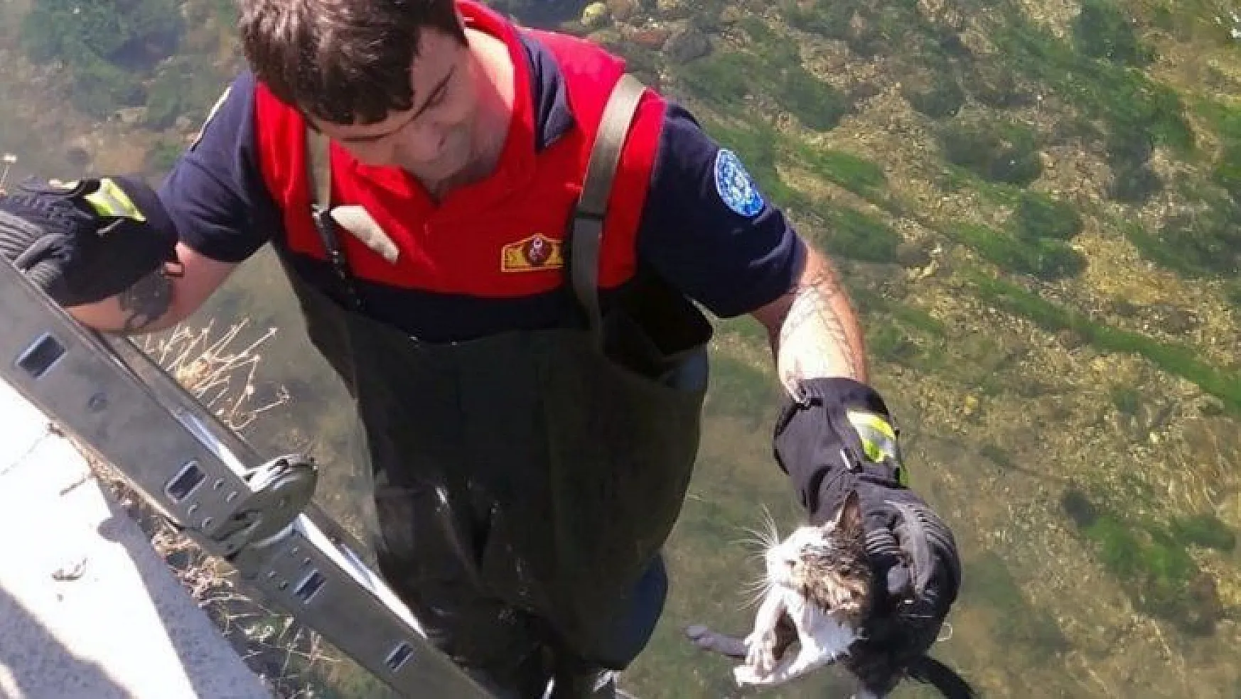 Su kanalında mahsur kalan kediye itfaiye kurtardı